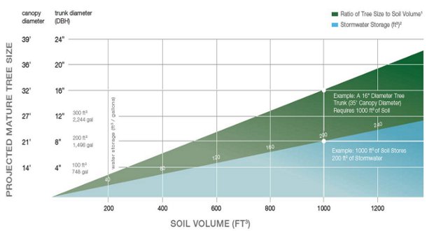 How Much Soil Do You Need to Grow a Big Tree? | DeepRoot Blog