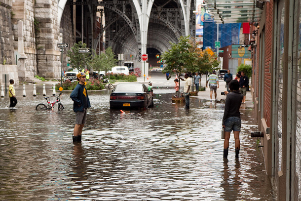 Green Infrastructure Endorsed by the New York Times | DeepRoot Blog