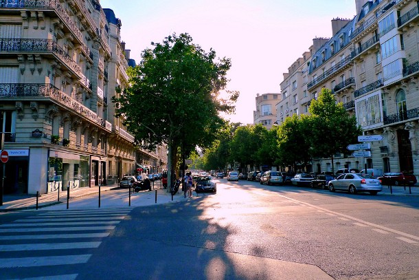 History Of Street Trees In Paris Paris The Minute To Paris The Modest Deeproot Blog