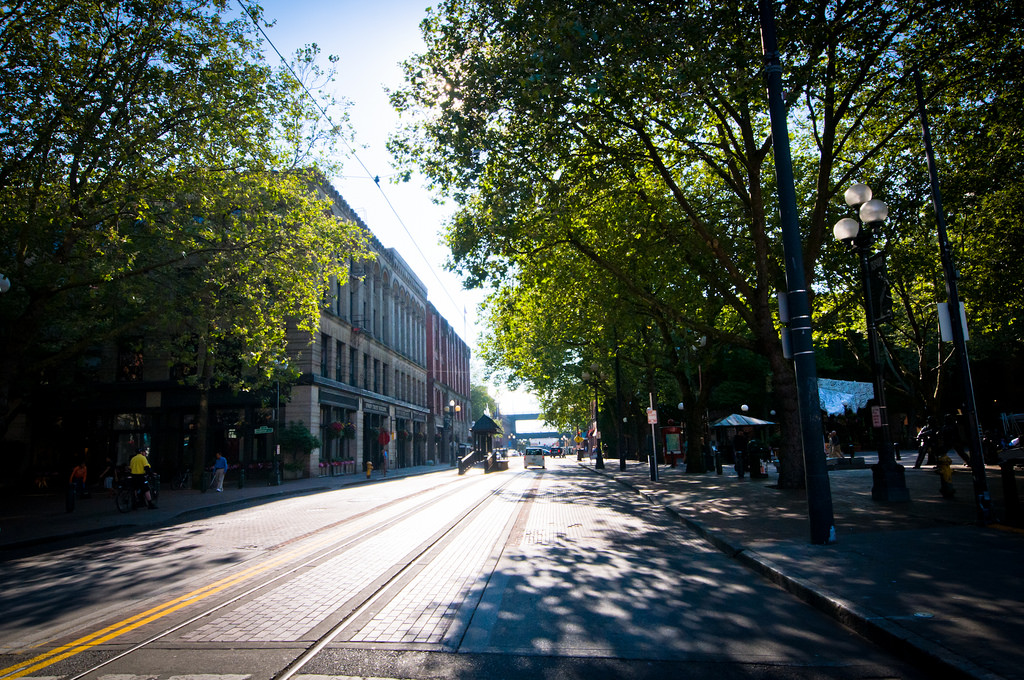 Trees and sidewalks: A strategic approach to conflicts | DeepRoot Blog