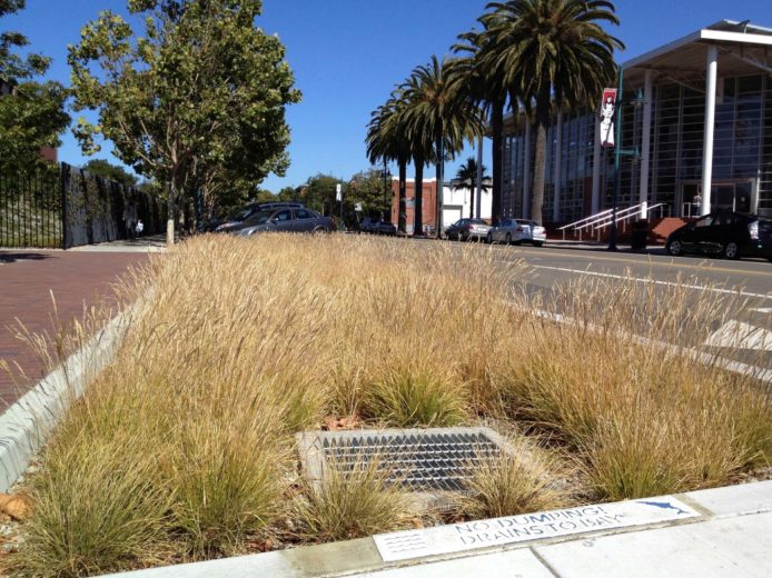 What to Consider When Designing Green Stormwater Systems, Part 2 ...