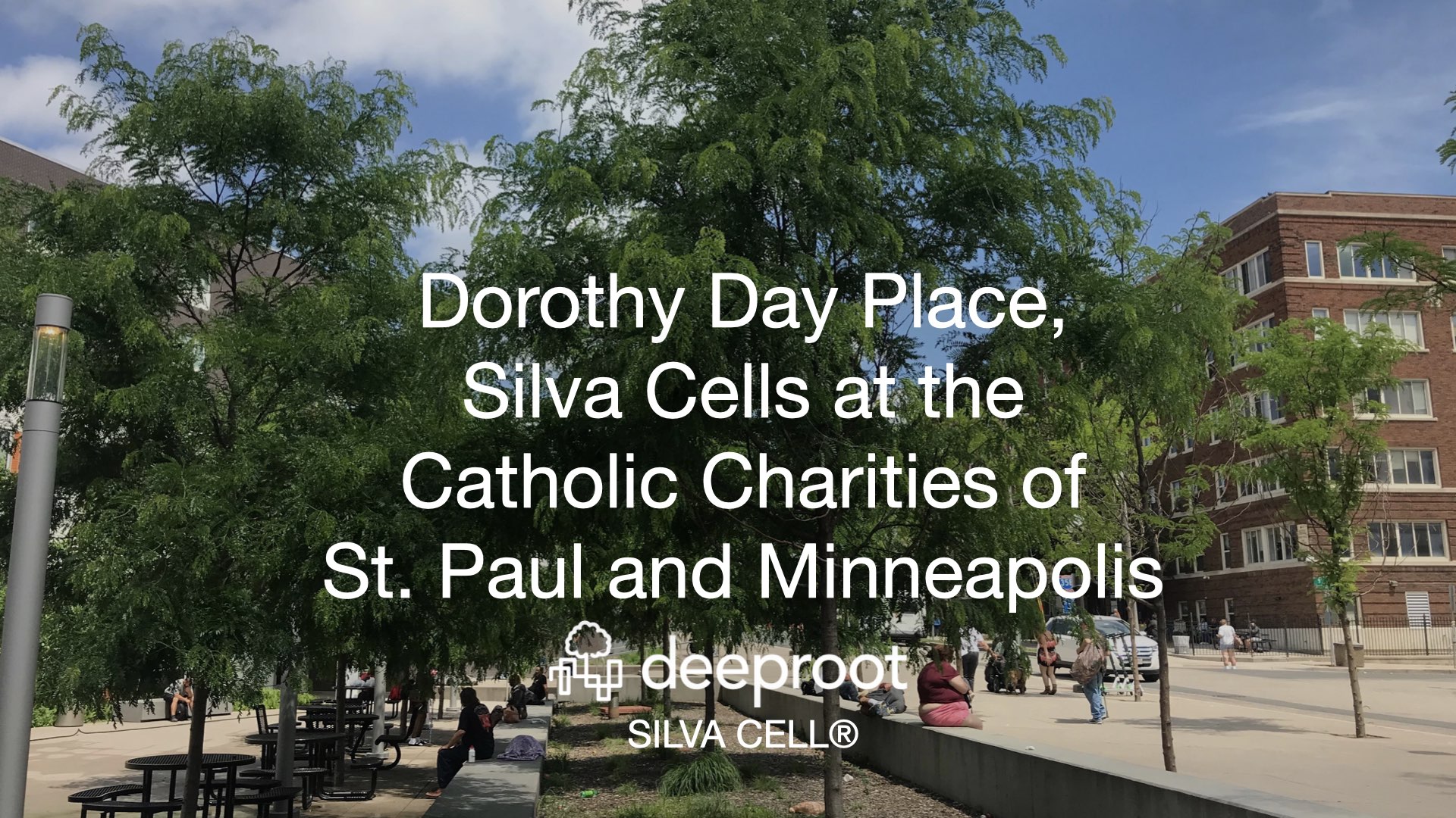 Dorothy Day Place, Silva Cells At The Catholic Charities Of St. Paul ...