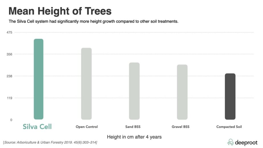 Tree - Height, Growth, Structure
