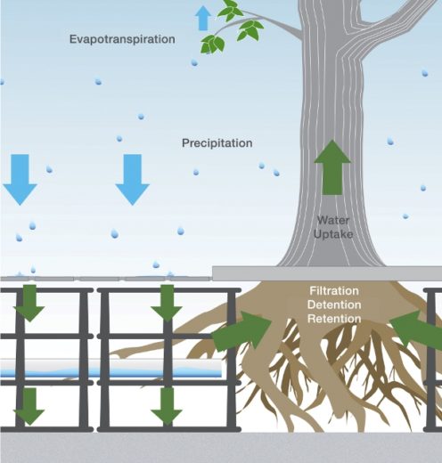 What Is Suspended Pavement? | DeepRoot Blog