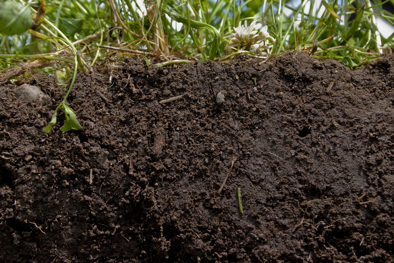 what-is-soil-organic-matter-deeproot-blog