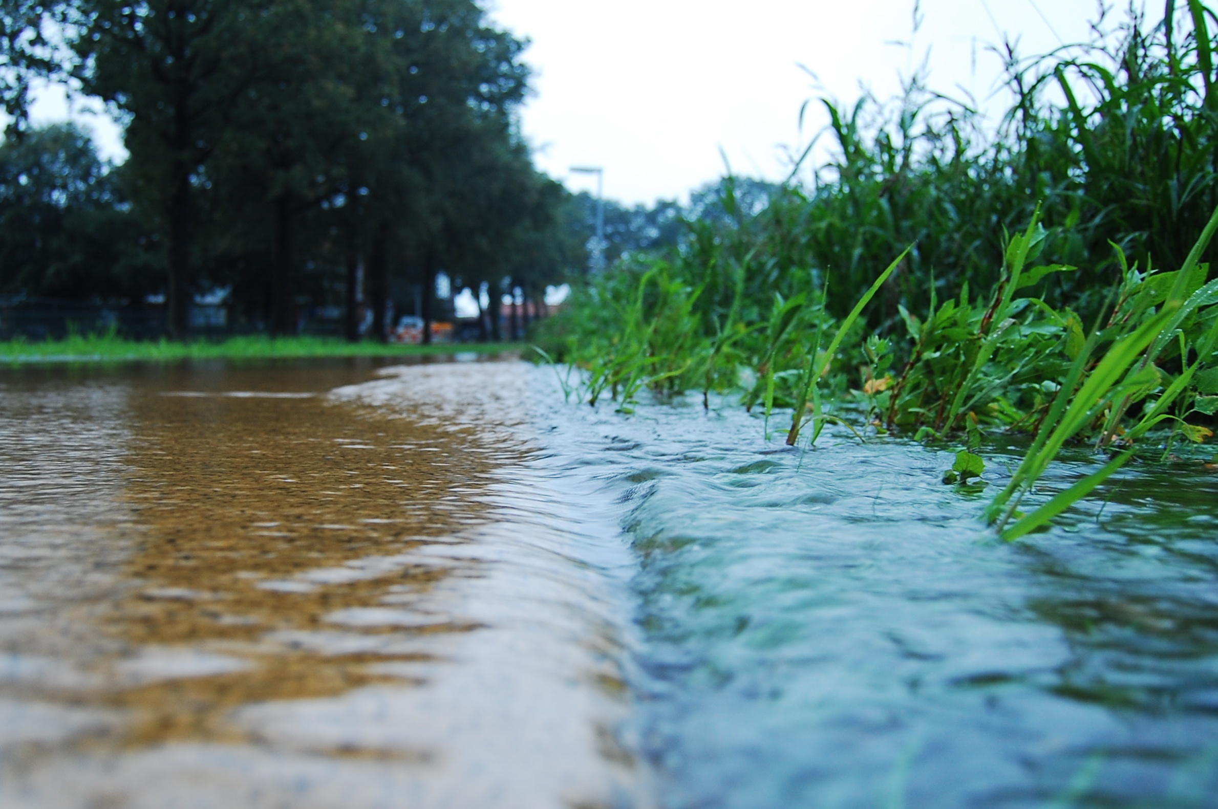 Rethinking Runoff How Stormwater Can Be Harnessed For Better Design 