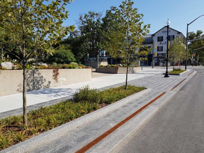 Ontario’s Lakeshore Road Embraces Sustainable Improvements with Silva ...