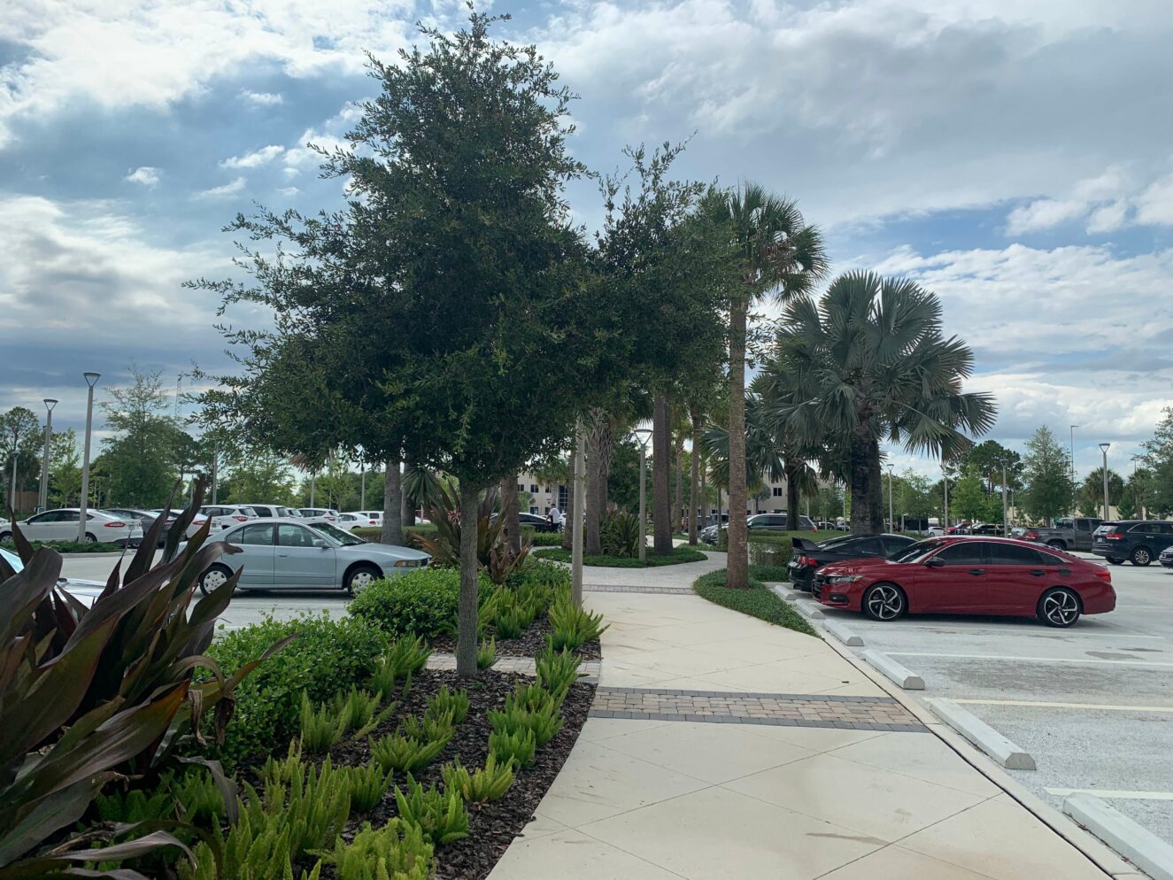 Orlando Rest Area Embraces Green Infrastructure with 57 Parking Lot ...