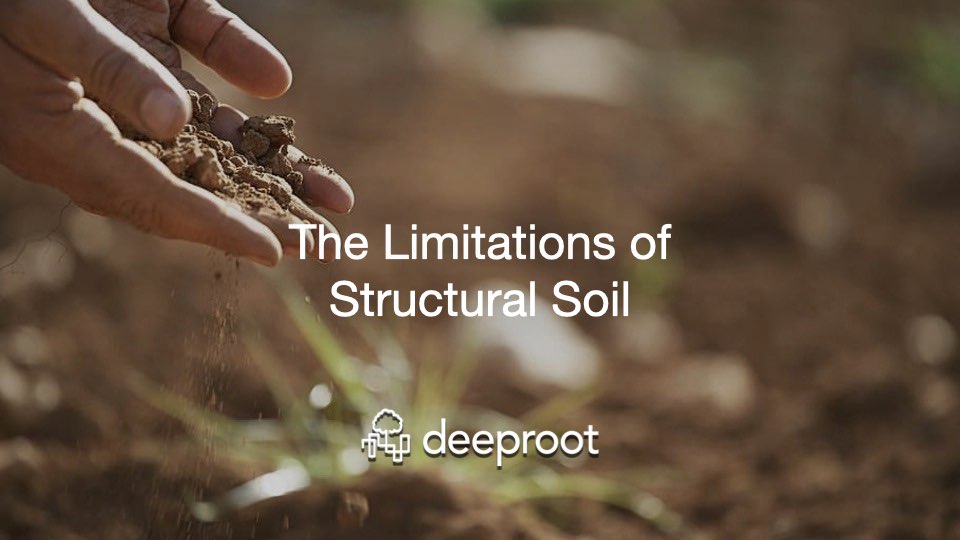 Green infrastructure | DeepRoot Blog